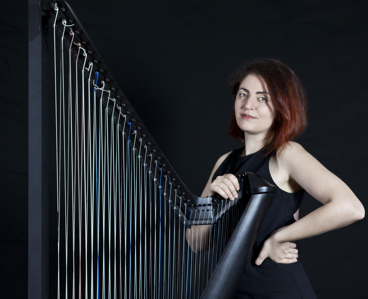 Jazz and Chromatic Harp Online Concert Conference 11 June